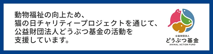 株式会社サニーデイマーケット｜カードの鎧